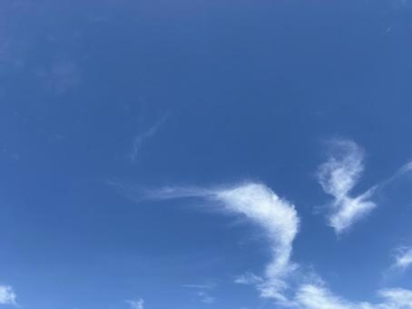 夏空に浮かぶ白い雲 夏空に浮かぶ白い雲の写真