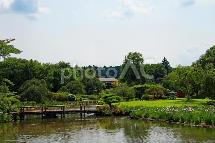 公園や自然のイメージ 公園,自然,旅の写真素材