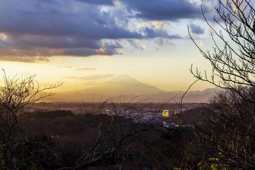 富士山 富士山の写真
