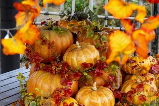 ハロウィンの飾り⑺ ハロウィンの飾り⑺ ハロウィン,飾り,カボチャの写真素材