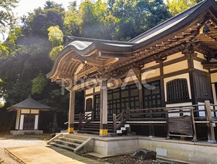 泉涌寺本堂 泉涌寺,仏閣,仏寺の写真素材