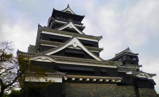 熊本城 熊本城 熊本城,城,熊本の写真素材