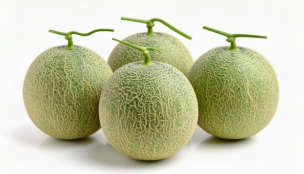 マスクメロン3コB マスクメロン3コBの写真