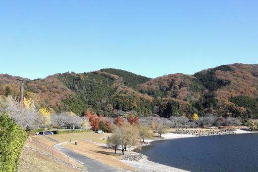 土師ダムの秋 広島県,北広島市,土師ダムの写真素材