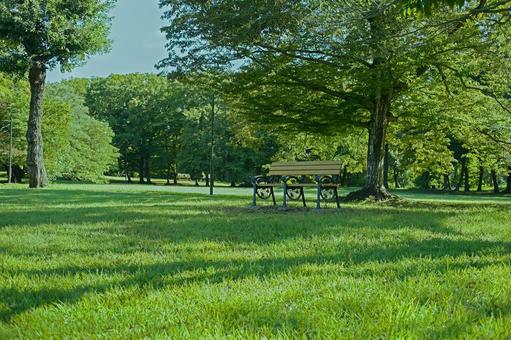 緑の公園 ベンチ 緑の公園 ベンチ ベンチ,椅子,座るの写真素材