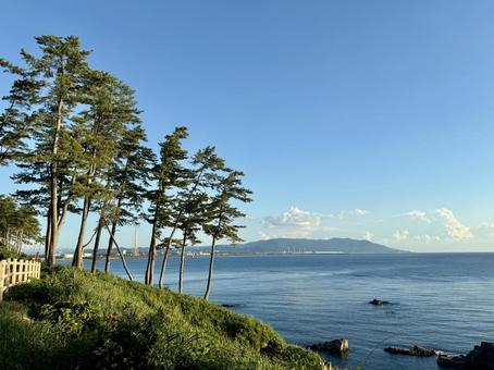 福井県東尋坊 日本海の見える遊歩道か 福井県東尋坊 日本海の見える遊歩道か 遊歩道,荒磯遊歩道,草木の写真素材