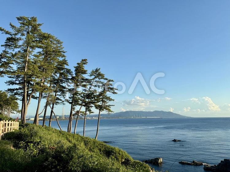 福井県東尋坊　日本海の見える遊歩道か 遊歩道,荒磯遊歩道,草木の写真素材
