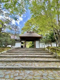 お寺の道 お寺の道の写真