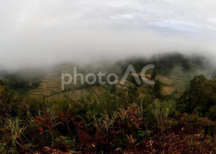 慶地の棚田 慶地の棚田,棚田,十日町の写真素材
