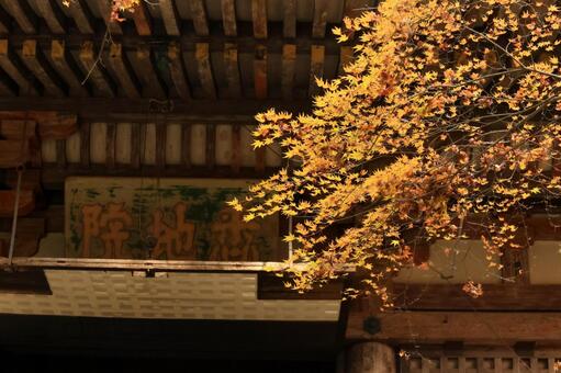 室生寺 室生寺,女人高野,本堂の写真素材