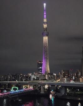 東京スカイツリー スカイツリー,夜景,背景の写真素材