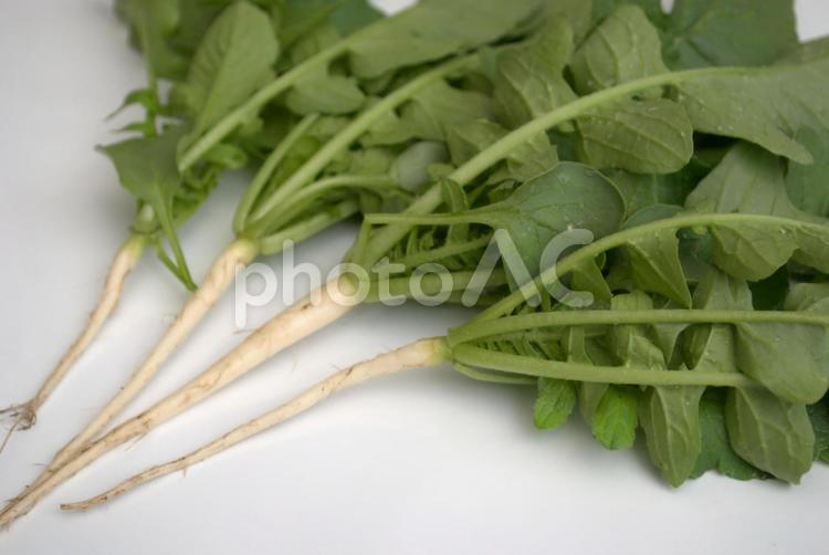 大根を作る過程の副産物　間引き菜 大根,間引き菜,大根菜の写真素材