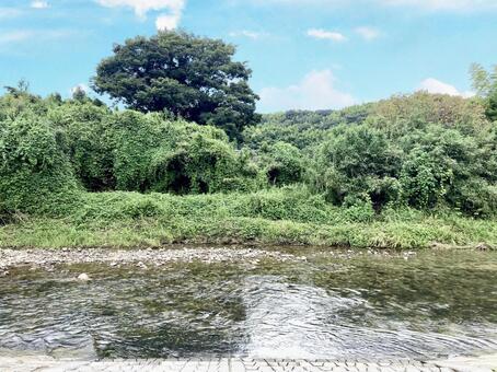 川辺の風景 川,川辺,川岸の写真素材