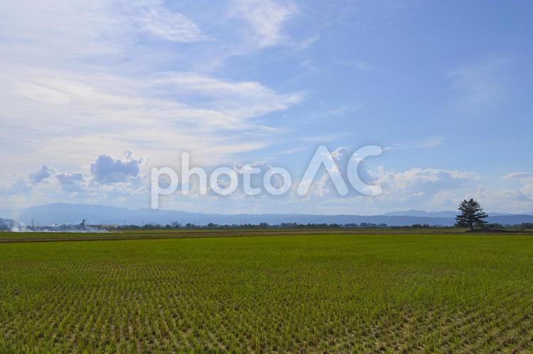 田園風景 田園,田舎,山の写真素材
