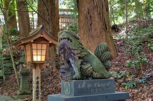 高千穂神社の狛犬 宮崎県 高千穂 高千穂神社の狛犬 宮崎県 高千穂の写真