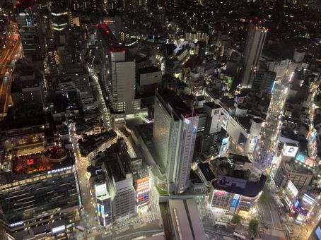 東京夜景 東京夜景の写真