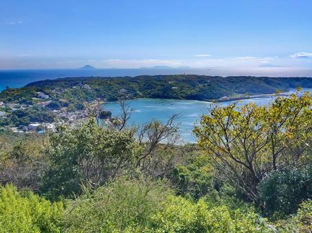 伊豆下田寝姿山から見る須崎半島と伊豆諸島 下田,下田港,下田湾の写真素材