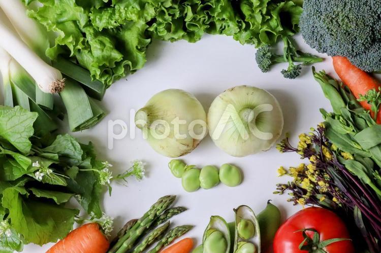 春の野菜　フレーム① 野菜,食べ物,ブロッコリーの写真素材