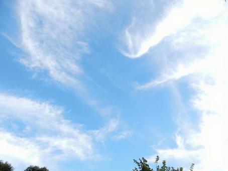 【空の写真】秋空 【空の写真】秋空 秋空,空,雲の写真素材