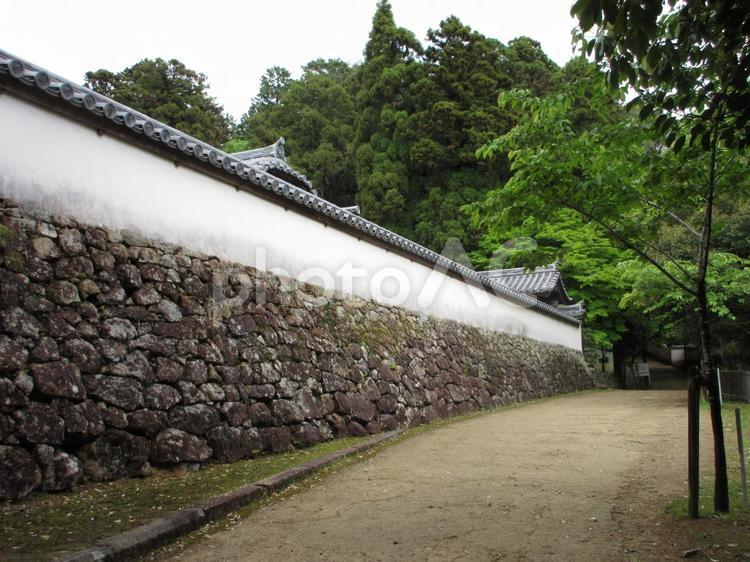 兵庫県-圓教寺-十妙院の土塀と参道 圓教寺,寺,書寫山の写真素材