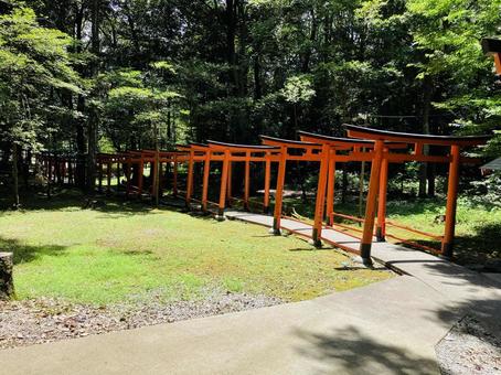 Photo, kashihara shrine, kashihara city, nara prefecture, a shrine, 