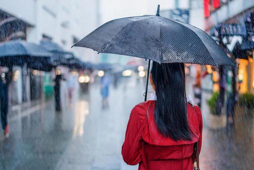 傘をさす女性背面 傘をさす女性背面の写真
