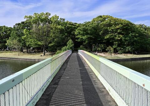自然公園の湖に架かるレインボーの橋 橋,歩道,青の写真素材