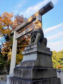 靖国神社の鳥居と狛犬 靖国神社,狛犬,神社の写真素材