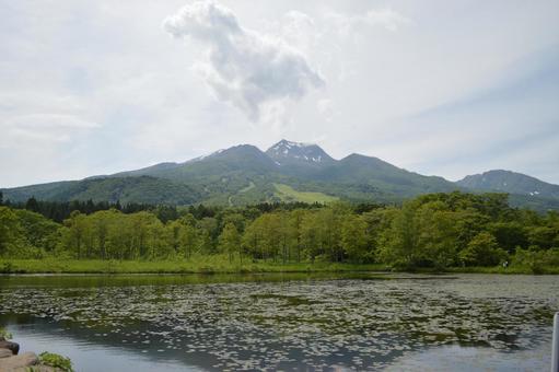 いもり池 いもり池の写真