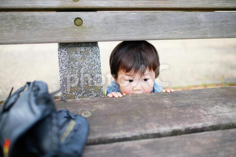 かくれんぼをしている男の子 子供,かくれんぼ,可愛いの写真素材
