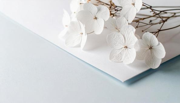 白い紙と花 白い紙と花の写真