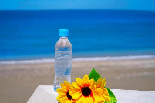 Seaside sunflowers and natural water, JPG