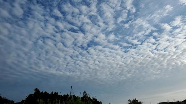 Photo, sky, cloud, scales of clouds, 