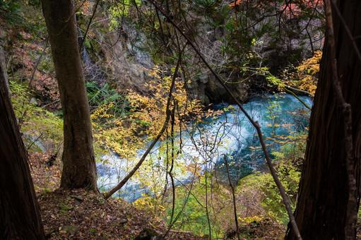 秋の風景 秋の風景 秋素材,秋,背景の写真素材
