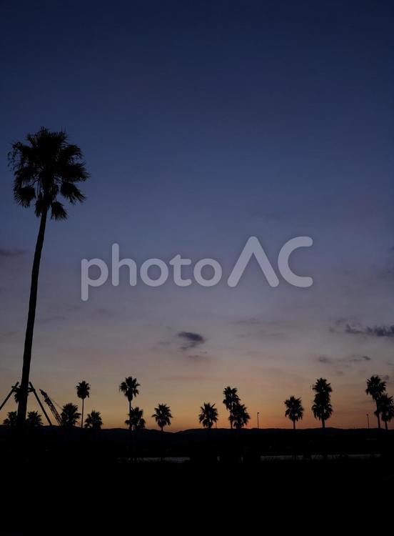 南国の夕焼け 夕焼け,グラデーション,風景の写真素材