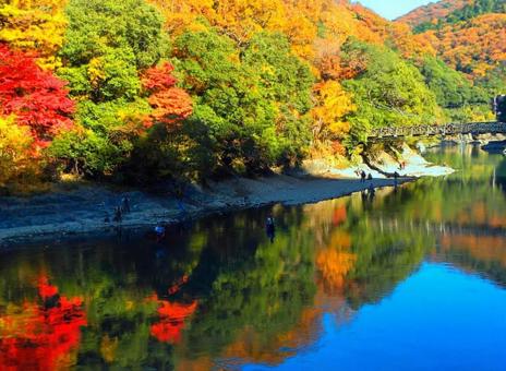 川面に映る紅葉 川面に映る紅葉の写真