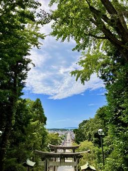 宮地嶽神社/階段頂上から 宮地嶽神社,青空,雲の写真素材