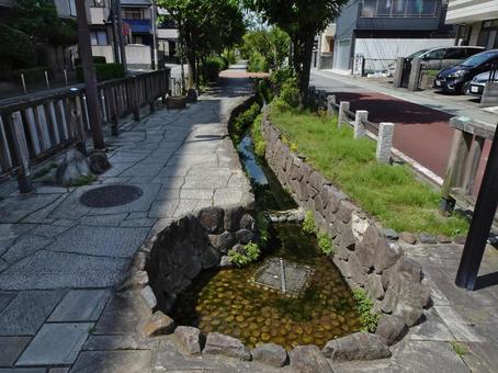 神領堀親水緑道 神領堀親水緑道の写真