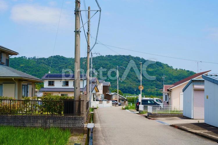 田んぼのある住宅地 夏,田んぼ,田園風景の写真素材