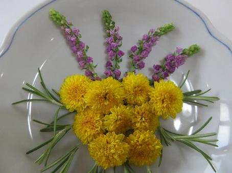 エディブルフラワー エディブルフラワー エディブルフラワー,小菊,穂紫蘇の写真素材