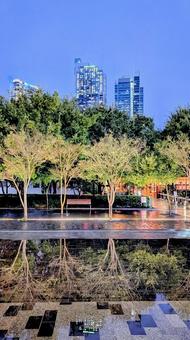 水鏡風景 タンバロングパーク 水鏡風景 タンバロングパーク タンバロングパーク,鏡面反射,倒影の写真素材