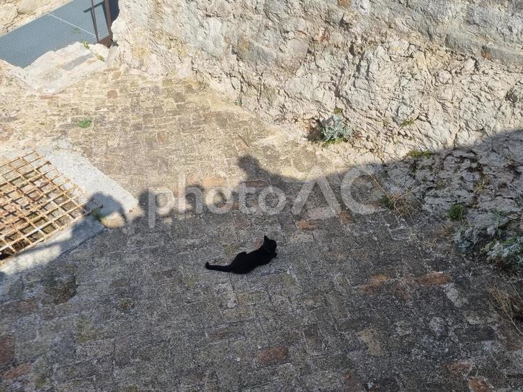 猫と家族の影 風景,海外,家族の写真素材