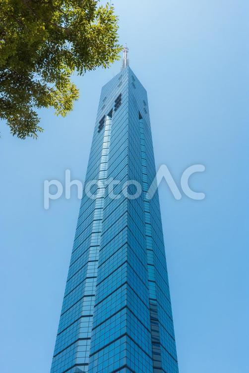 【福岡】福岡タワー 福岡,ランドマーク,タワーの写真素材