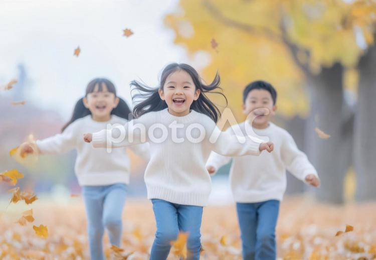 落ち葉の中をかけてくる子供たち 秋,子ども,小学生の写真素材