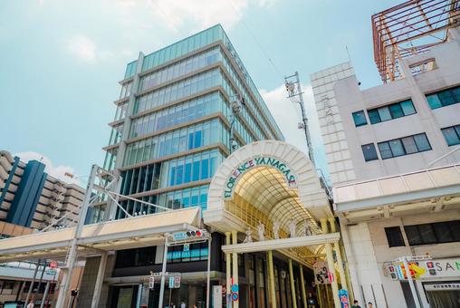 【岐阜】岐阜の街並み 2025 【岐阜】岐阜の街並み 2025の写真
