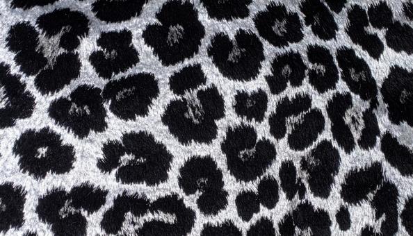 ヒョウ柄 ヒョウ柄の写真
