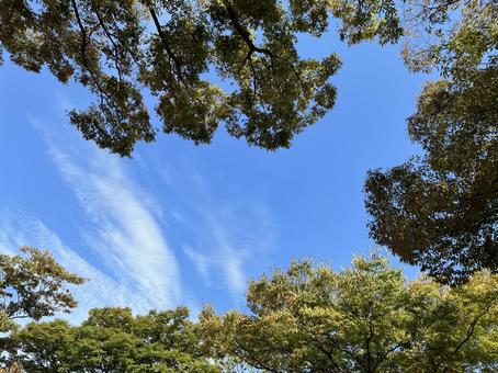 空 空の写真