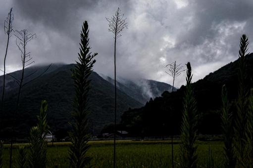 <五島の風景>夏の大雨の朝の雨雲と山霧 <五島の風景>夏の大雨の朝の雨雲と山霧の写真