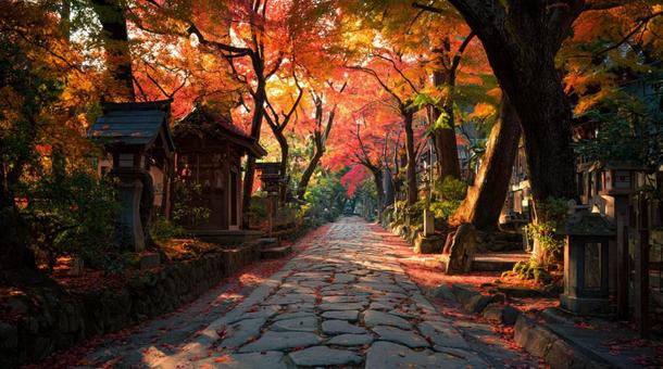 紅葉に包まれた静かな参道の写真