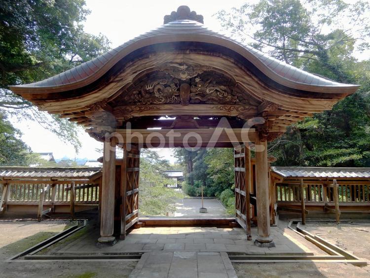 月照寺　松江　門 月照寺,門,島根の写真素材